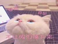 上海亦可电子商务有限公司