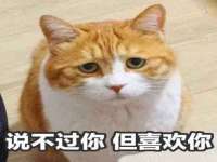 上海亦可电子商务有限公司