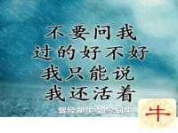 上海亦可电子商务有限公司