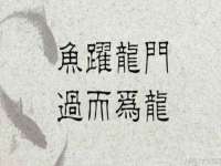 上海亦可电子商务有限公司