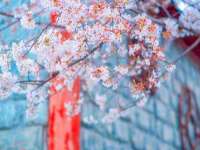 上海亦可电子商务有限公司