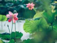 上海亦可电子商务有限公司
