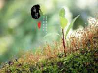 上海亦可电子商务有限公司