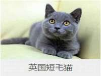 上海亦可电子商务有限公司