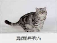 上海亦可电子商务有限公司