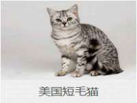 上海亦可电子商务有限公司
