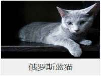上海亦可电子商务有限公司