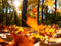 上海亦可电子商务有限公司