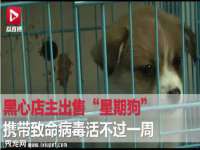 上海亦可电子商务有限公司