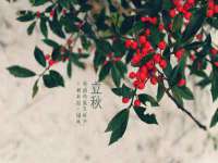 上海亦可电子商务有限公司