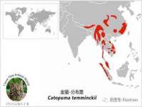 上海亦可电子商务有限公司