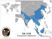 上海亦可电子商务有限公司