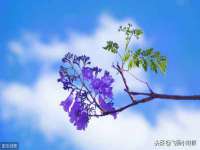 上海亦可电子商务有限公司