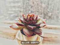 上海亦可电子商务有限公司