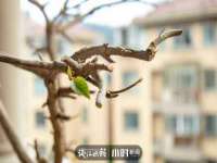 上海亦可电子商务有限公司
