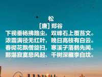 上海亦可电子商务有限公司