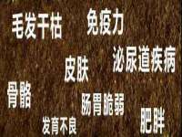 上海亦可电子商务有限公司
