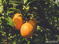上海亦可电子商务有限公司