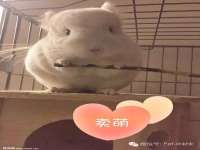 上海亦可电子商务有限公司