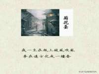 上海亦可电子商务有限公司