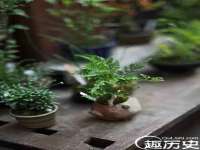 上海亦可电子商务有限公司