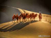 上海亦可电子商务有限公司