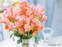 上海亦可电子商务有限公司