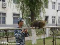 上海亦可电子商务有限公司