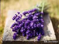 上海亦可电子商务有限公司