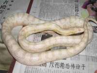 上海亦可电子商务有限公司