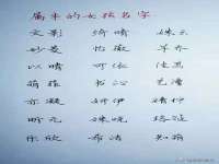 上海亦可电子商务有限公司